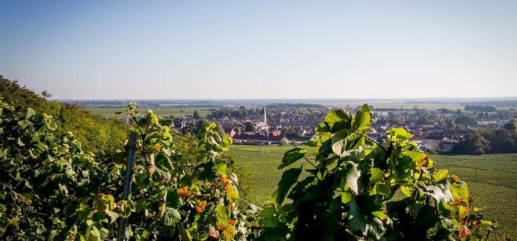 Hostellerie St Vincent Nuits-Saint-Georges Kültér fotó